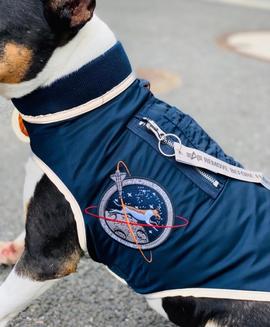Space Dog Jacket rep blue Alpha