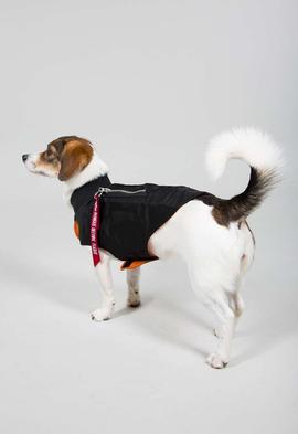 Dog Ma 1 nylon fligth jacket Black  Alpha