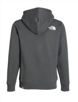 THE NORTH FACE HOODIE KIDS SUMMIT GOLD GRIS